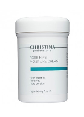 Rose Hips Moisture Cream with Carrot Oil - Увлажняющий крем с маслом шиповника и моркови для сухой кожи 250 мл Christina Rose Hips Moisture Cream with Carrot Oil - Увлажняющий крем с маслом шиповника и моркови для сухой кожи 250 мл Christina